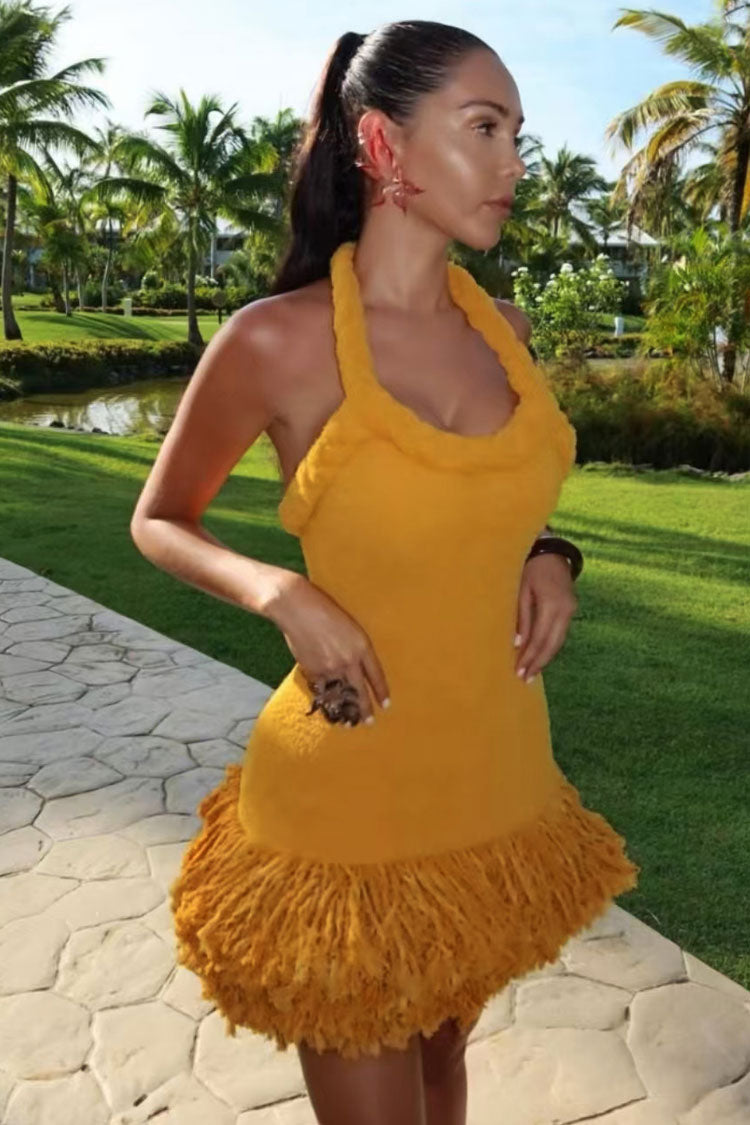 Chic Braided Rope Halter Tie Tassel Hem Bodycon Vacation Mini Dress