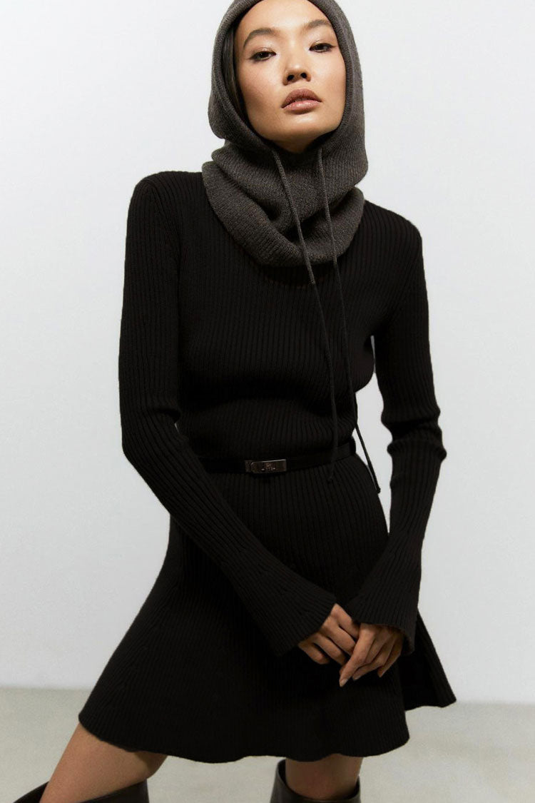 Chic High Neck Rib Knit Long Sleeve Sweater Dress in Black