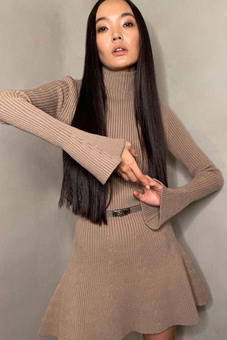 Chic High Neck Flared Long Sleeve Knit Sweater Dress