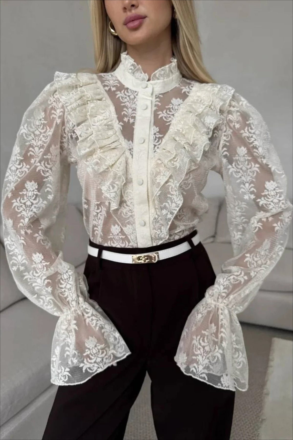 Ruffle Trim Sheer Lace Blouse