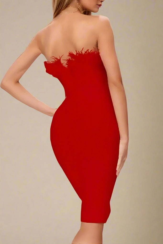 Erin Bodycon Dress - Lipstick Red - Fashionpara