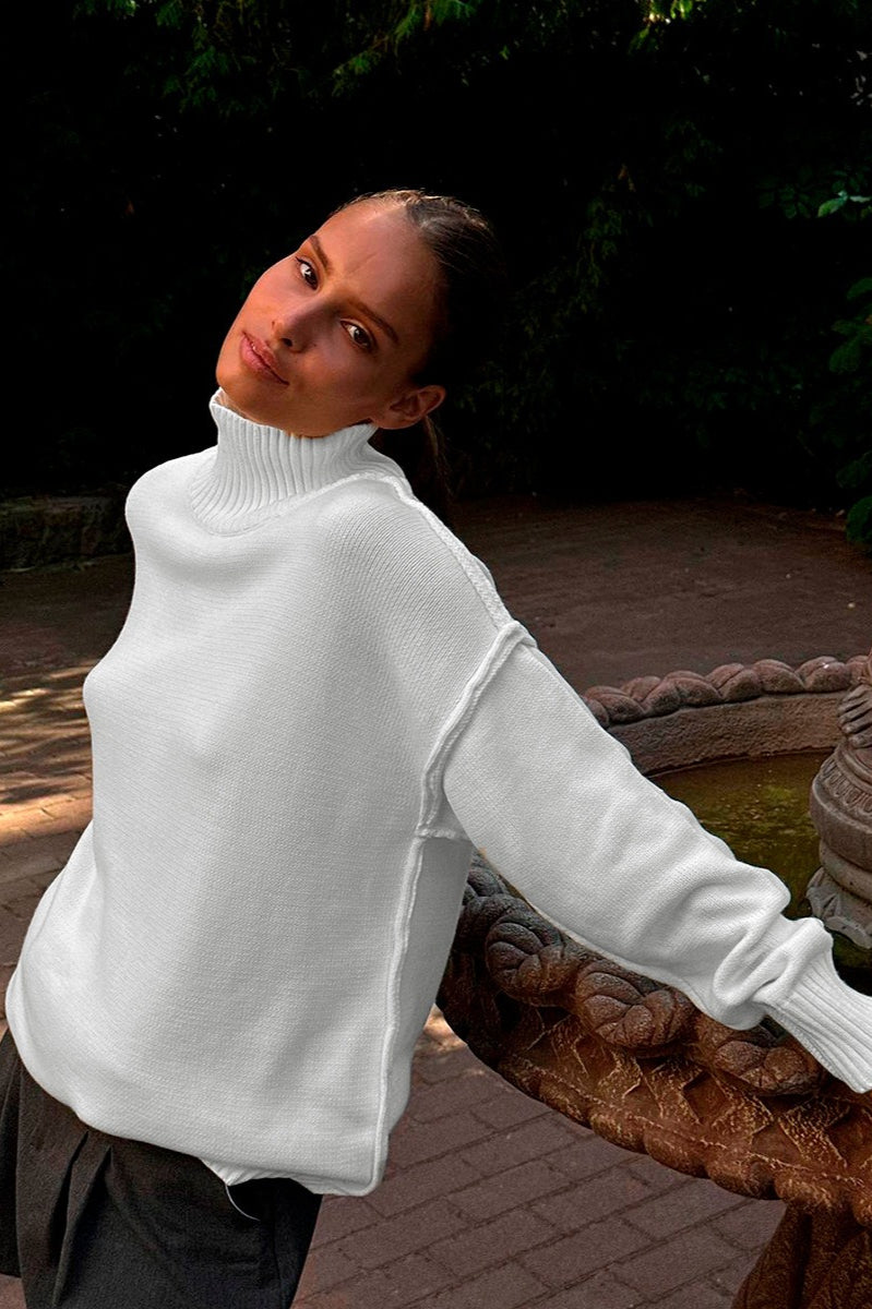 Colorblock Turtleneck Knit Sweater