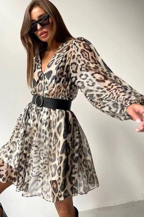 Gail Printed V - neck Belted Chiffon Mini Dress
