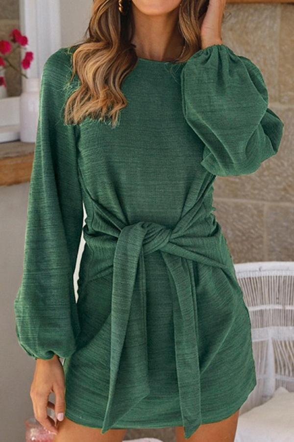 Plain Cinched Long Sleeve Dress