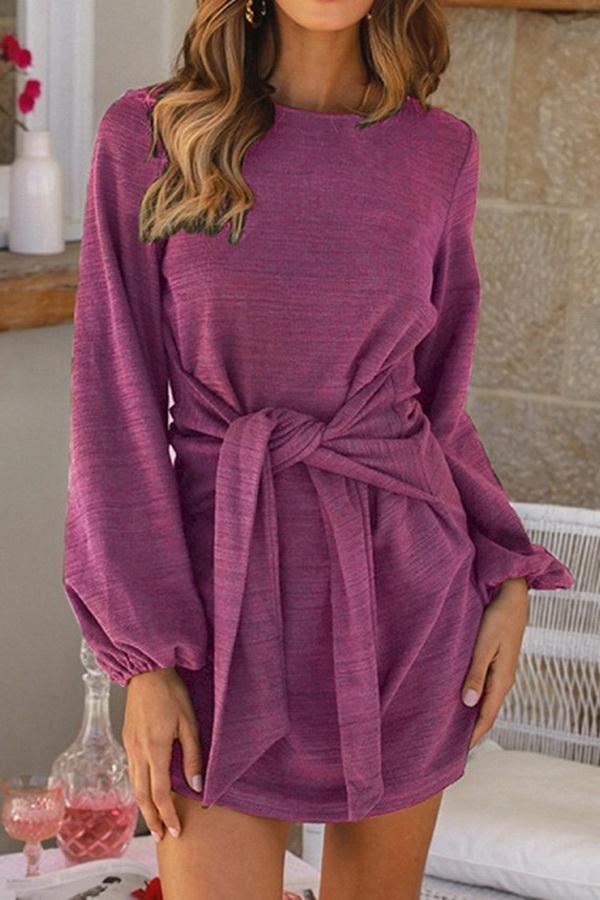 Plain Cinched Long Sleeve Dress