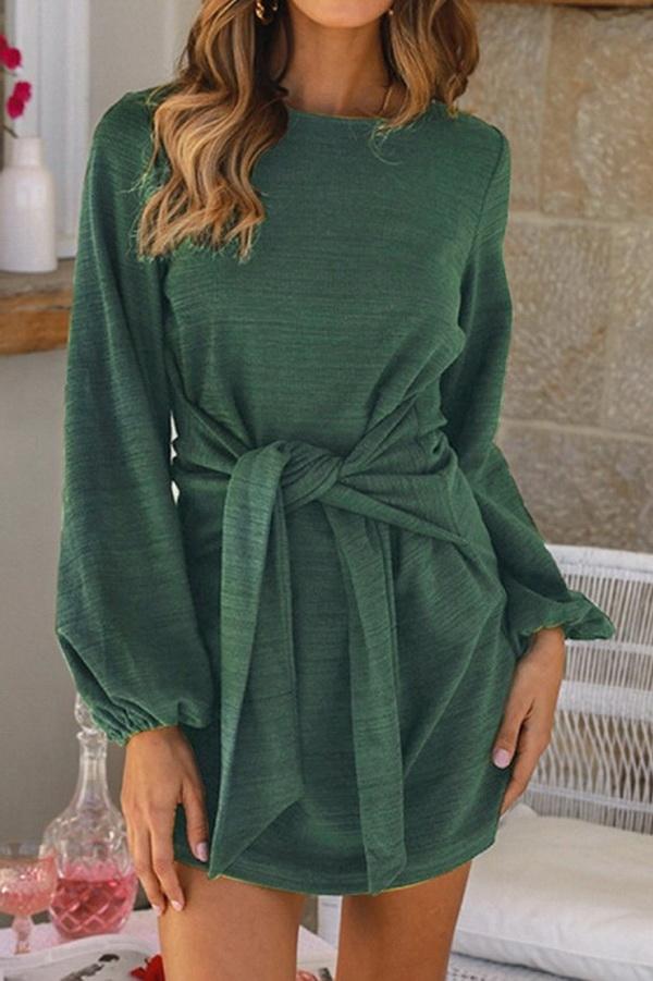 Plain Cinched Long Sleeve Dress