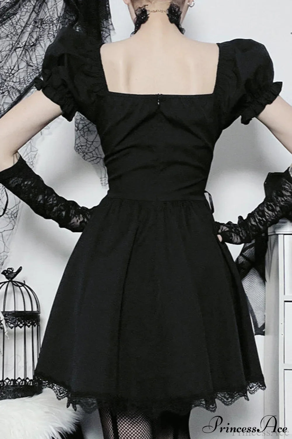 Rose Lace A-Line Gothic Dress