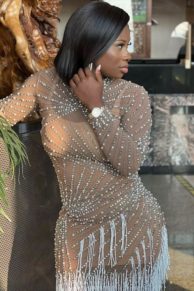 Sparkly Long Sleeve Pearl Rhinestone Fringe Sheer Mesh Party Mini Dress - Brown  Fashionpara