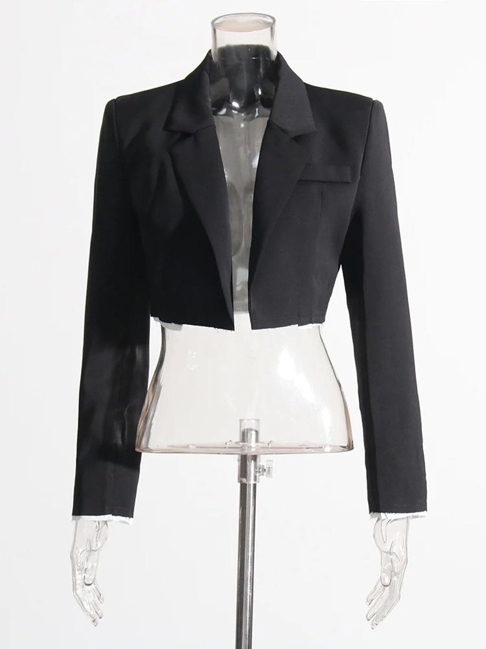 Blazer & Pant - Fashionpara