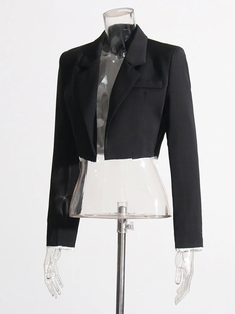 Blazer & Pant - Fashionpara