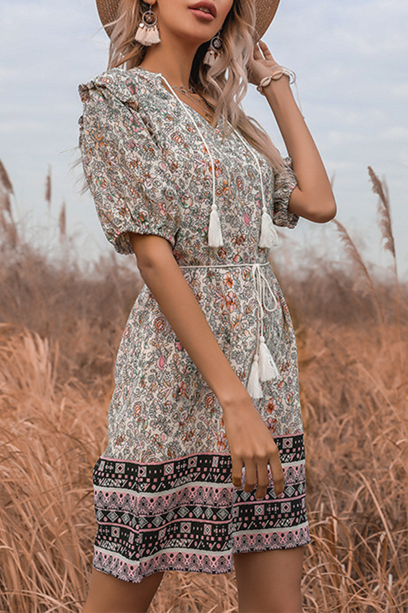 Elegant Floral Tassel Frenulum V Neck A Line Dresses - Fashionpara