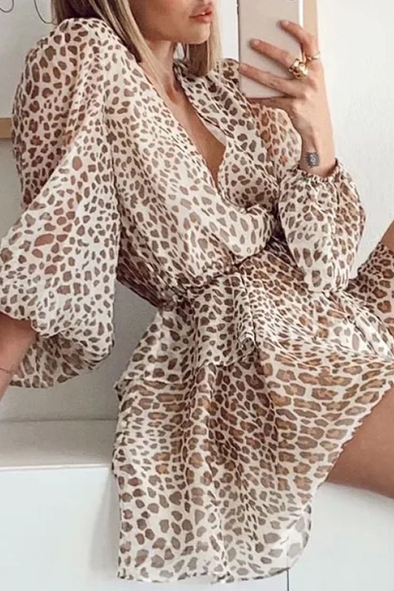 Fashion Casual Print Frenulum Buttons V Neck A Line Dresses - Fashionpara