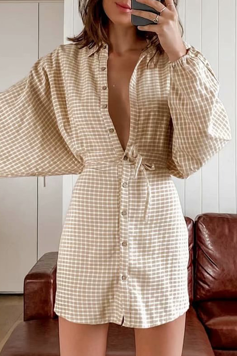 Fashion Elegant Plaid Frenulum Buckle Turndown Collar Straight Dresses - Fashionpara