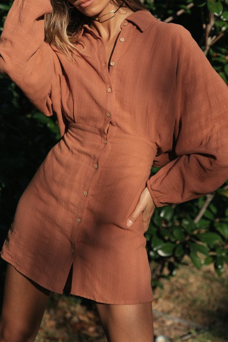 Casual Solid Frenulum Buckle Turndown Collar Dresses - Fashionpara