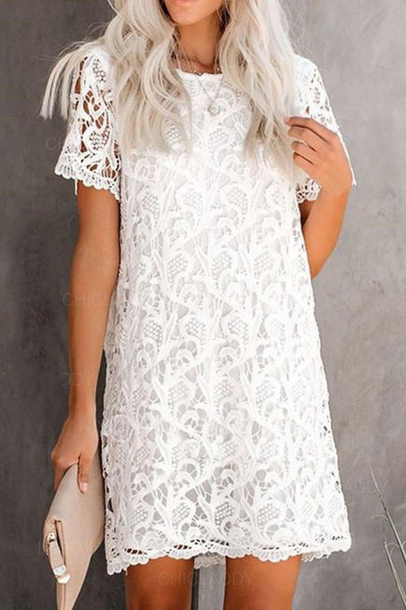 Casual Solid Lace O Neck Straight Dresses - Fashionpara