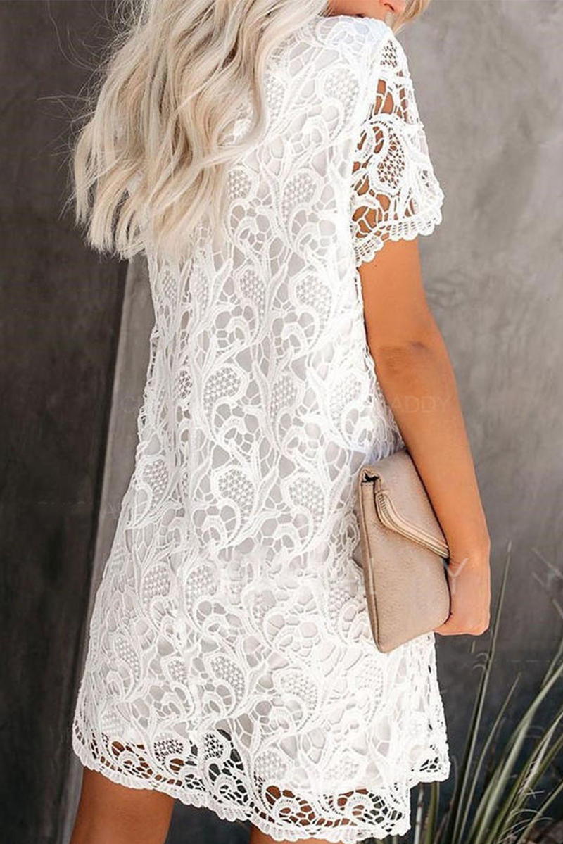 Casual Solid Lace O Neck Straight Dresses - Fashionpara