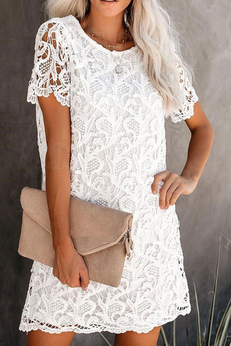 Casual Solid Lace O Neck Straight Dresses - Fashionpara