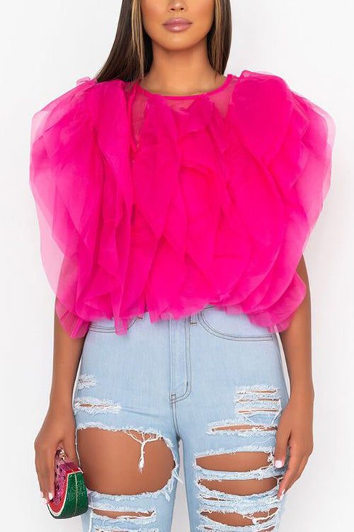 Ruffled Feathers Sleeveless Tulle Top - Fashionpara