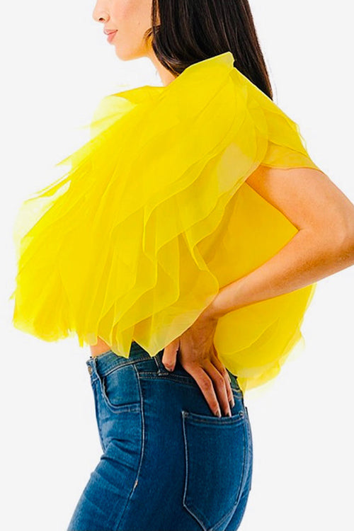 Ruffled Feathers Sleeveless Tulle Top - Fashionpara