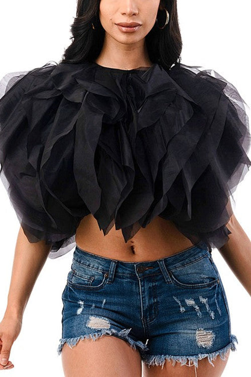 Ruffled Feathers Sleeveless Tulle Top - Fashionpara
