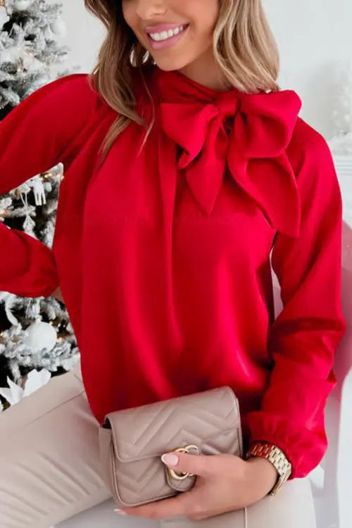 Tie Neck Long Sleeve Blouse - Fashionpara