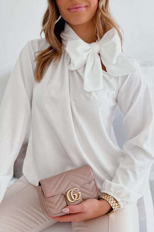Tie Neck Long Sleeve Blouse - Fashionpara