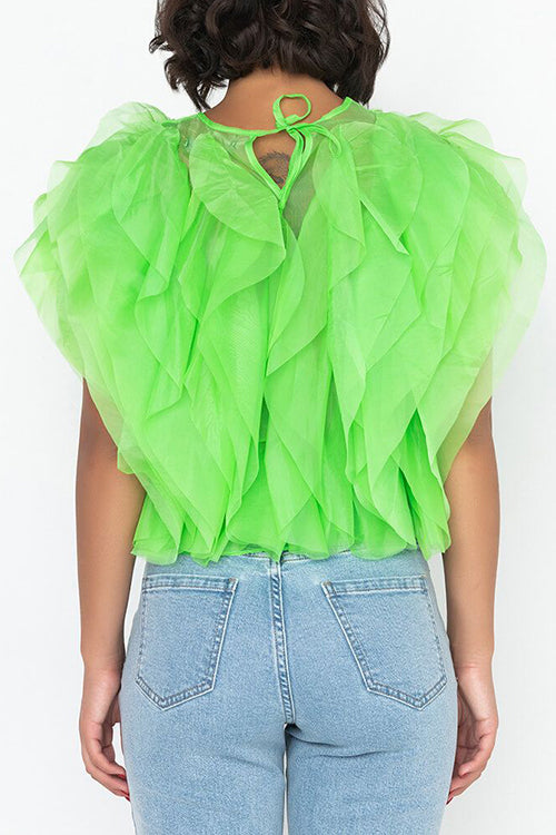 Ruffled Feathers Sleeveless Tulle Top - Fashionpara