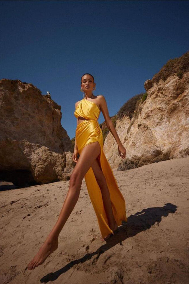 Chapman Elegant Maxi Dress