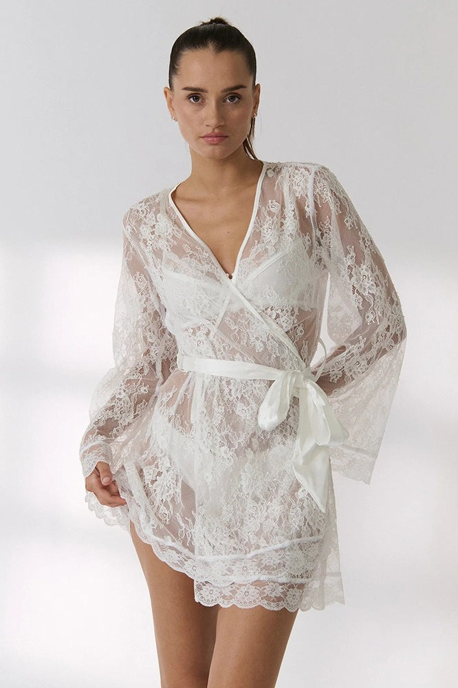 Lace Sheer Mesh Mini Dress