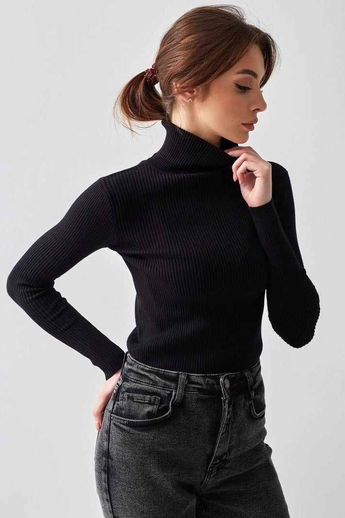 Slim Fit Knit Turtleneck Sweater
