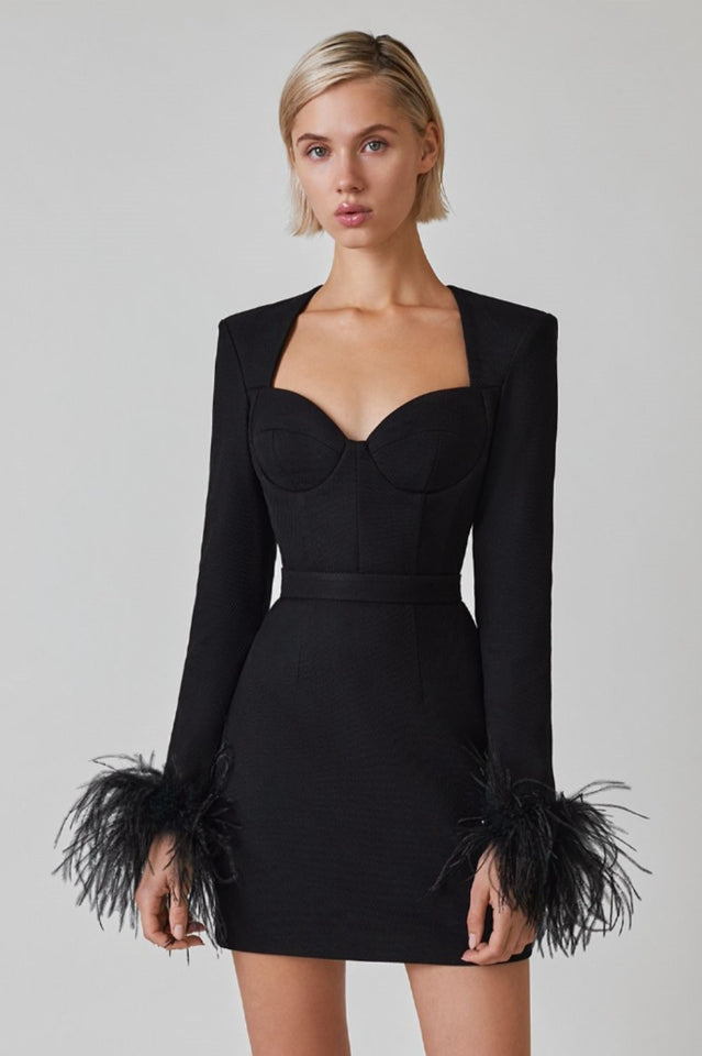 Feather Long Sleeve Bustier Dress - Fashionpara