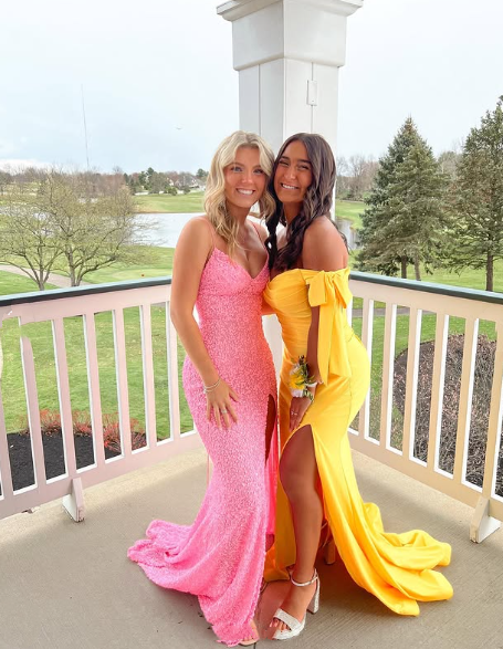 Elegant Mermaid Sequin Pink Long Prom Dresses Formal Dress