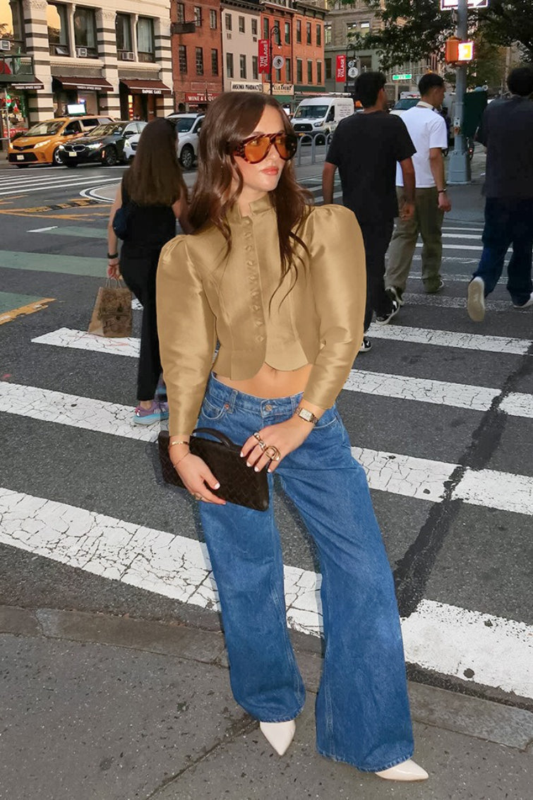 Mandarin Collar Puff Sleeve Blouse