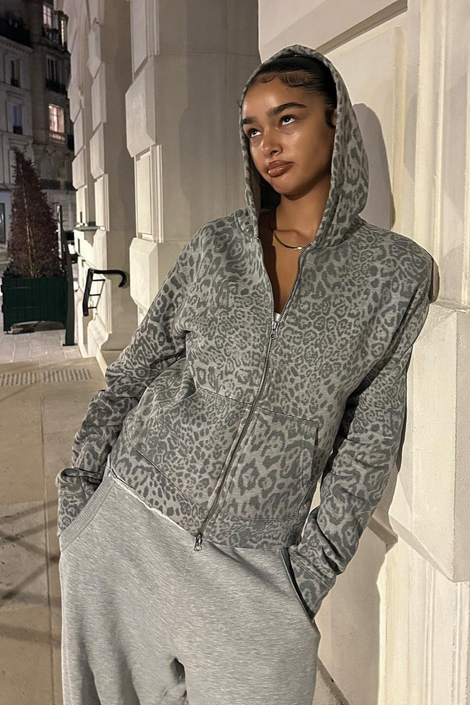 Leopard Digital Print Zip Hoodie