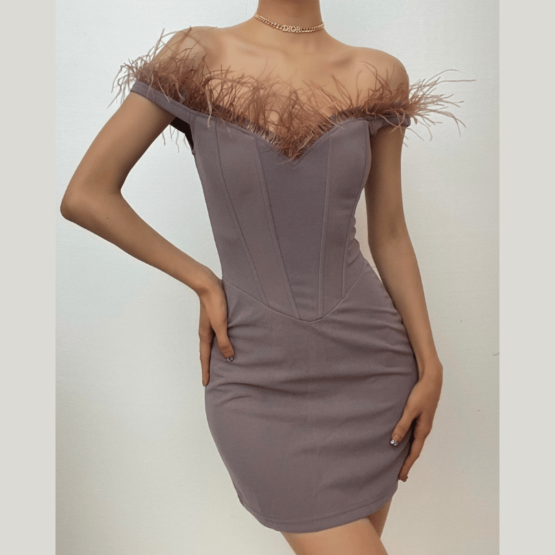Feather Off Shoulder Sweetheart Corset Bodycon Mini Dress
