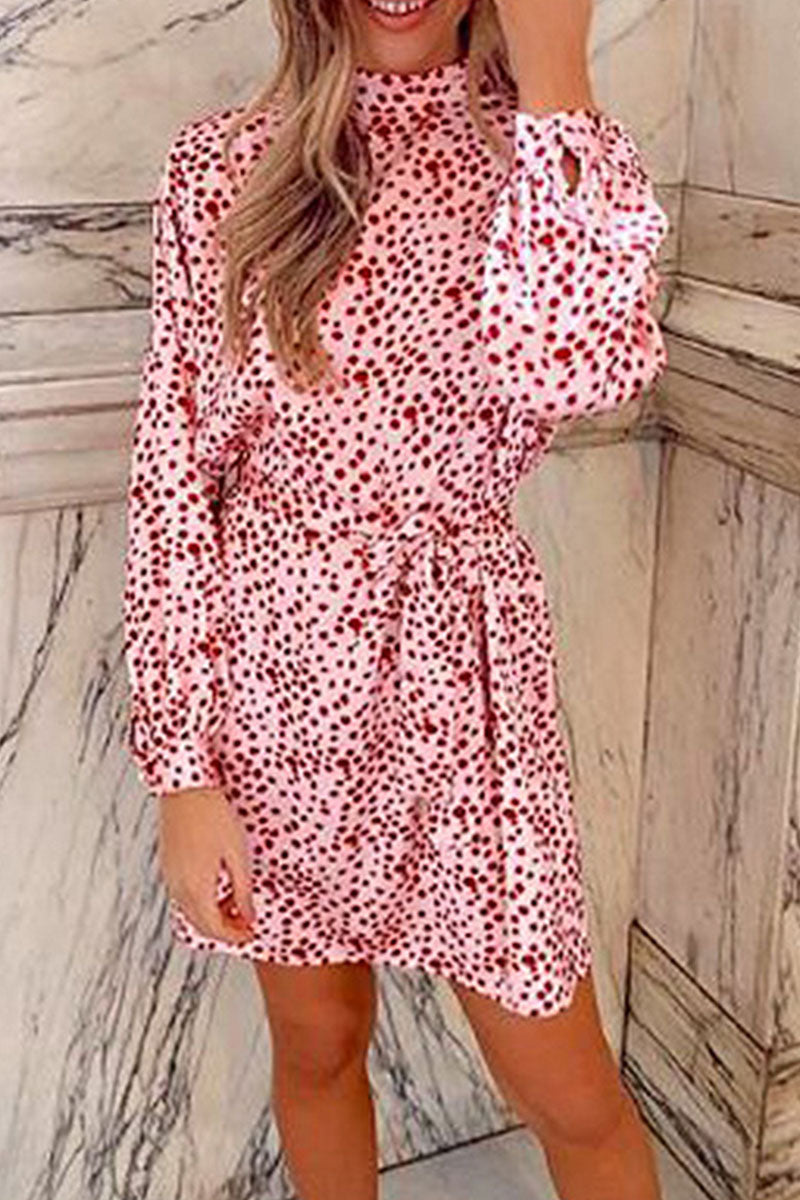 Fashion Street Print Turtleneck A Line Dresses  Fashionpara