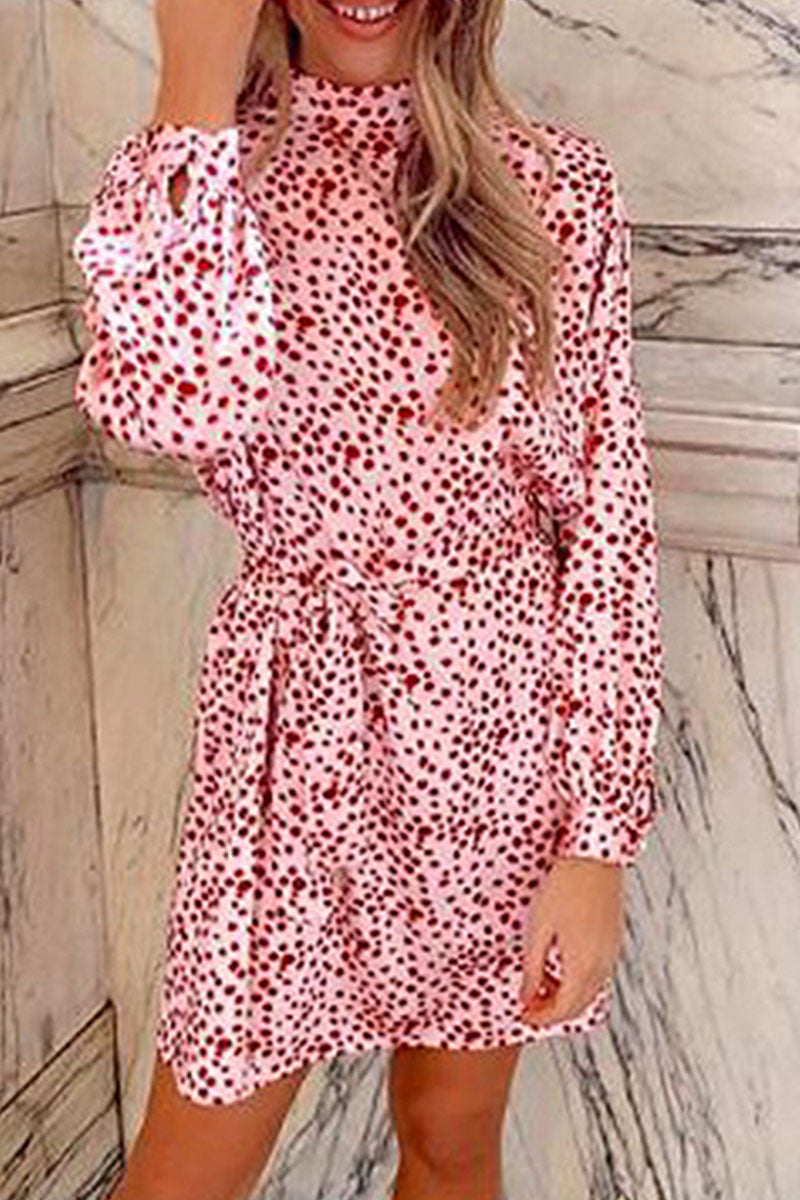 Fashion Street Print Turtleneck A Line Dresses  Fashionpara