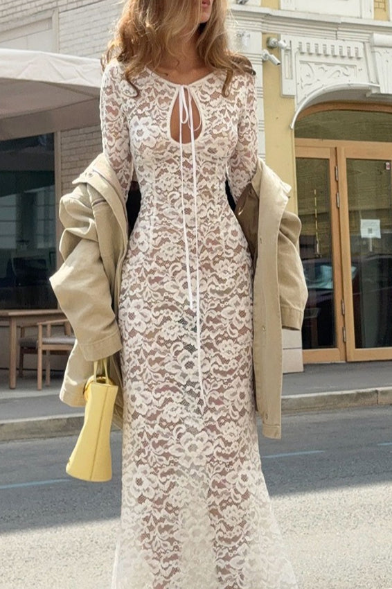 Sheer Lace Round Neck Maxi Dress - View 4