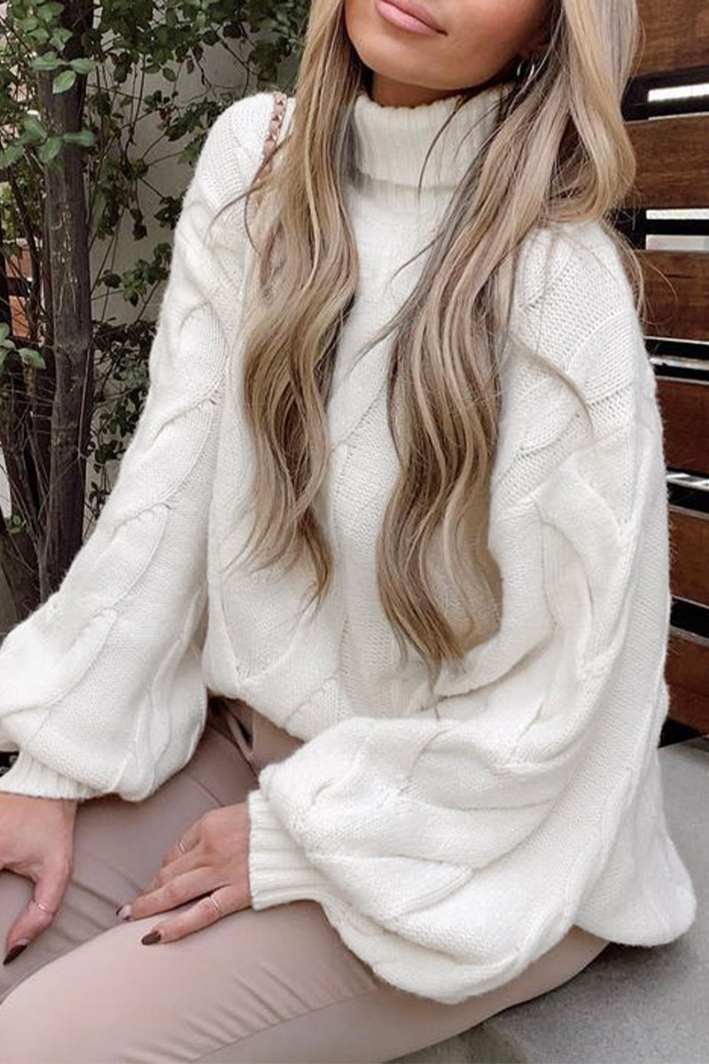 Casual Street Solid Color Turtleneck Sweaters(5 Colors) - Fashionpara