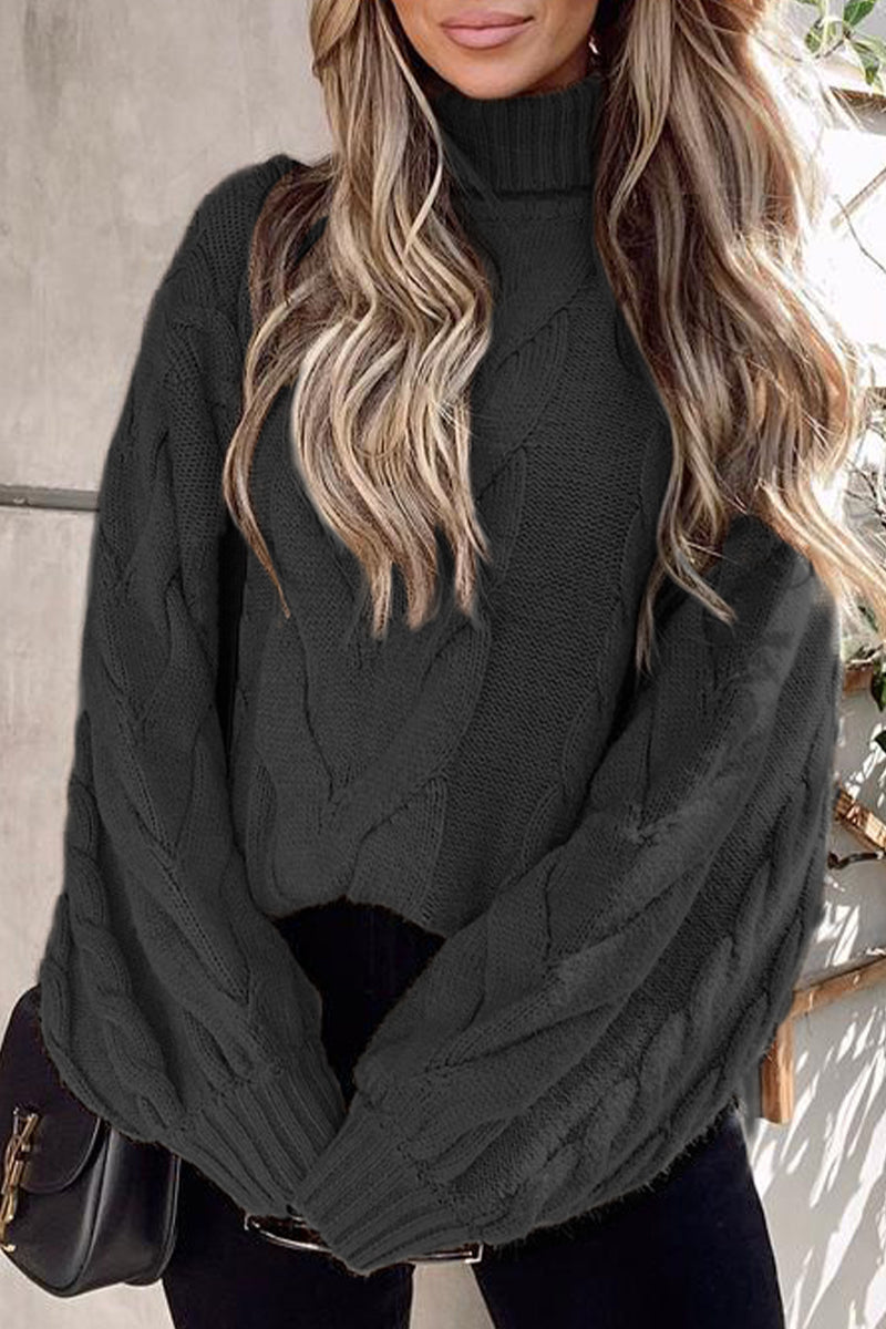 Casual Street Solid Color Turtleneck Sweaters(5 Colors) - Fashionpara