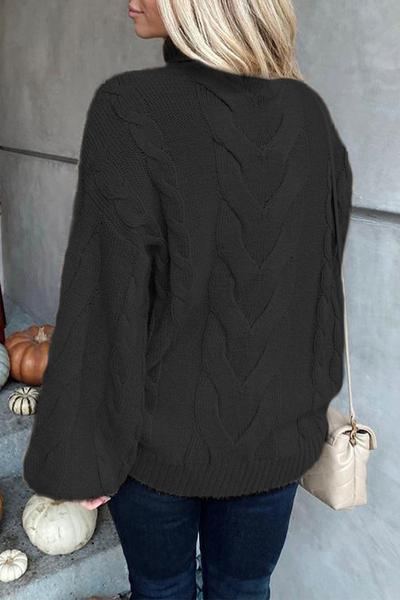 Casual Street Solid Color Turtleneck Sweaters(5 Colors) - Fashionpara