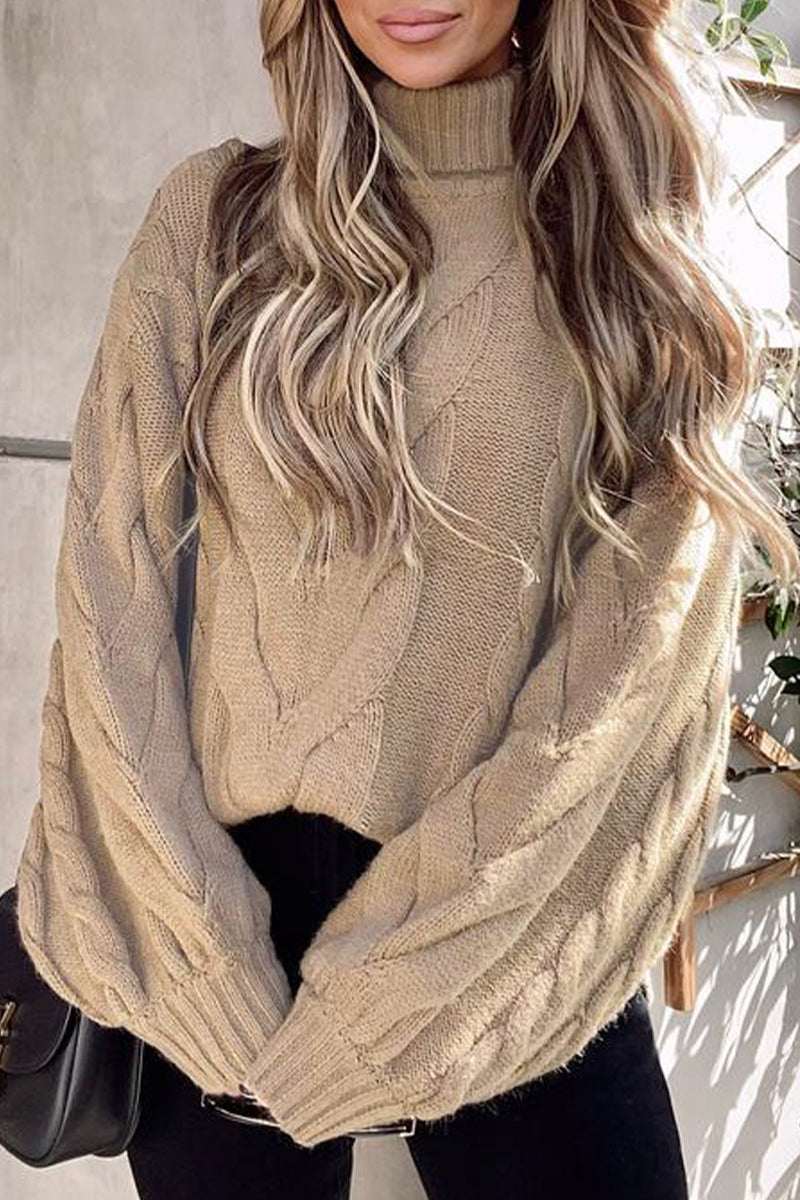 Casual Street Solid Color Turtleneck Sweaters(5 Colors) - Fashionpara