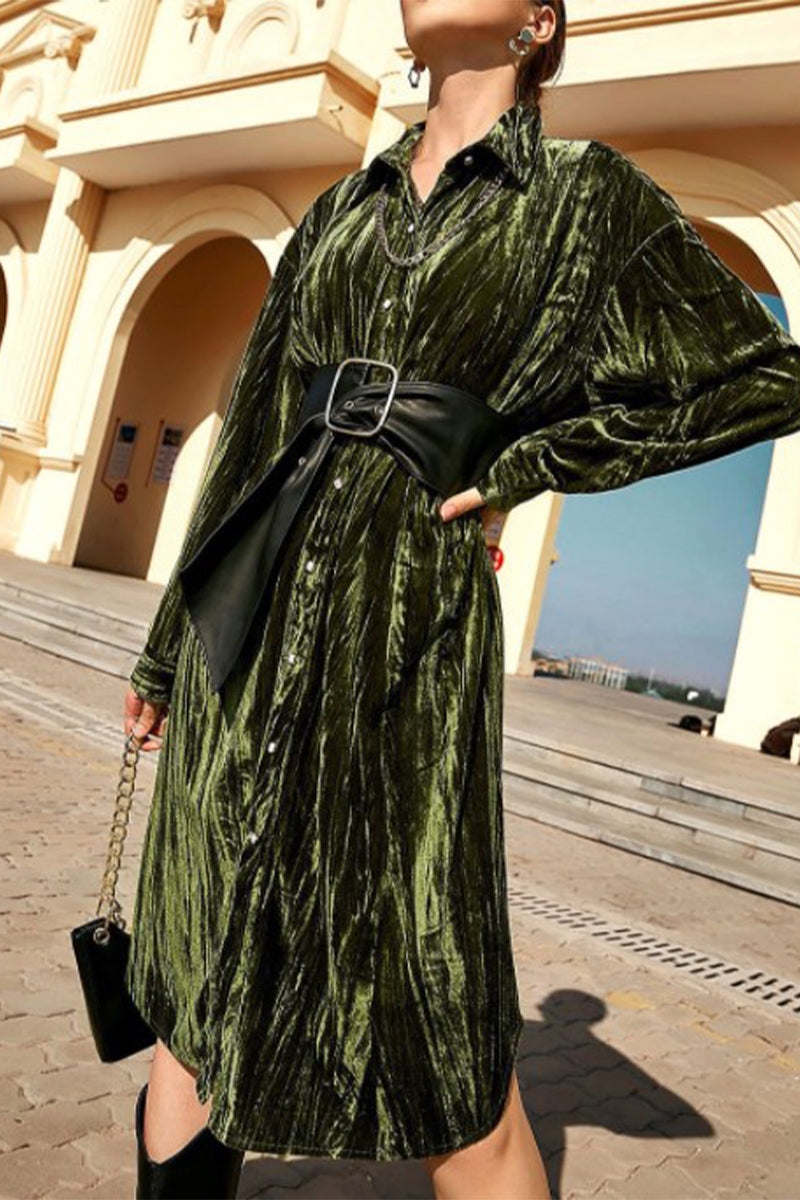 Elegant Solid Without Belt Turndown Collar A Line Dresses - Fashionpara