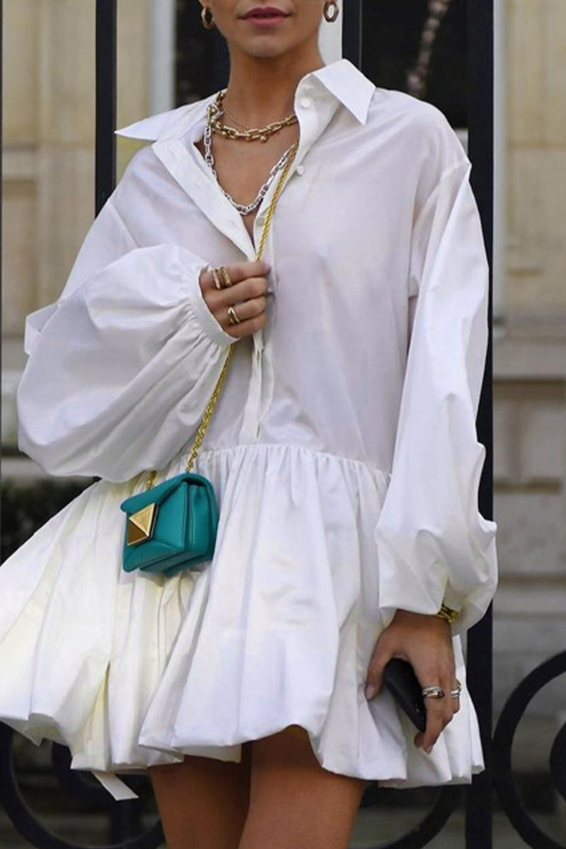 Elegant Solid Buttons Turndown Collar Shirt Dress Dresses - Fashionpara