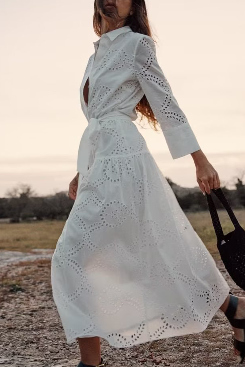 Casual Daily Solid Color Embroidered Hollow Out Lace Up Turndown Collar A Line Dresses - Fashionpara