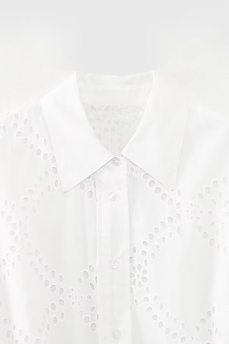 Casual Daily Solid Color Embroidered Hollow Out Lace Up Turndown Collar A Line Dresses - Fashionpara