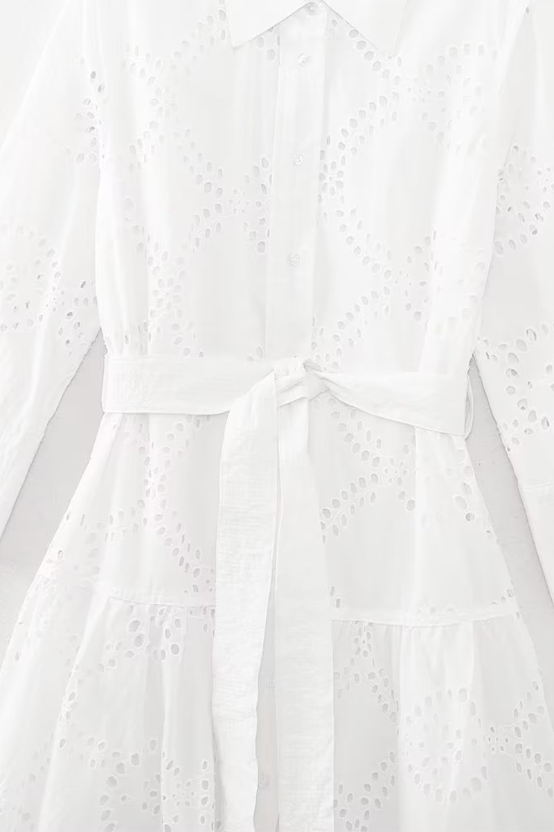 Casual Daily Solid Color Embroidered Hollow Out Lace Up Turndown Collar A Line Dresses - Fashionpara