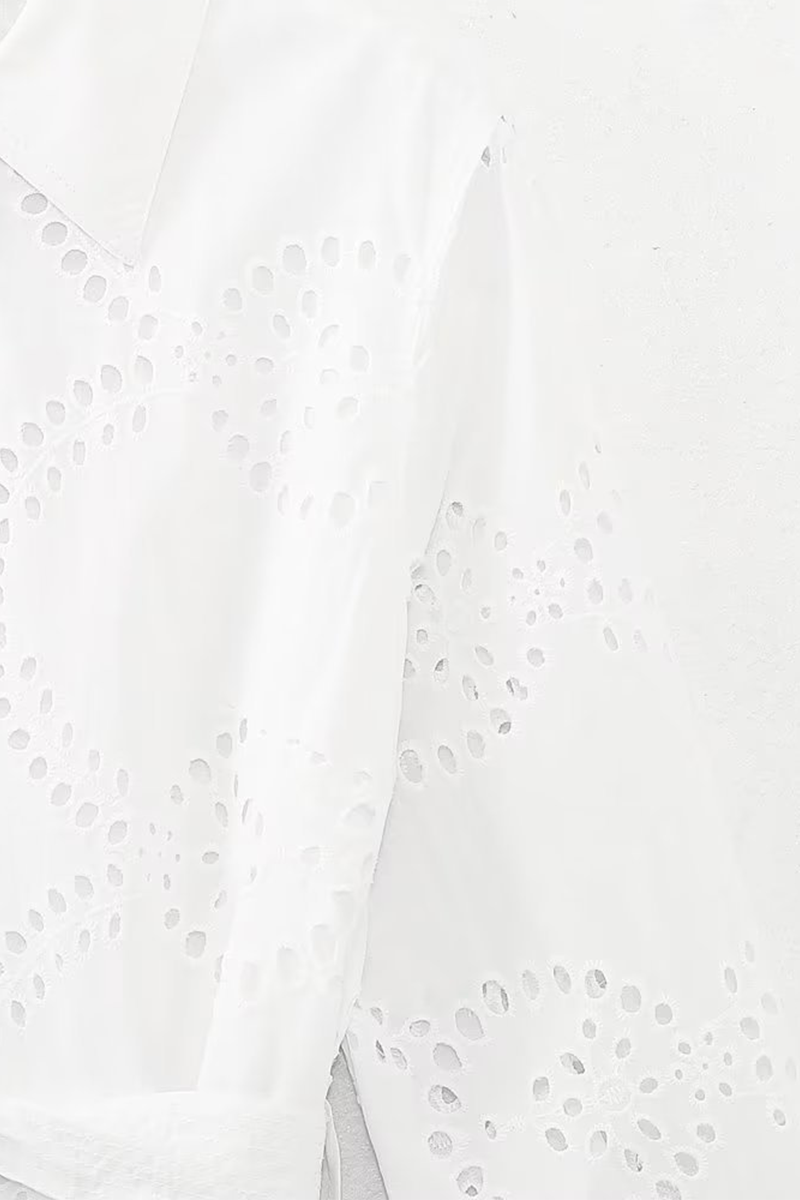 Casual Daily Solid Color Embroidered Hollow Out Lace Up Turndown Collar A Line Dresses - Fashionpara