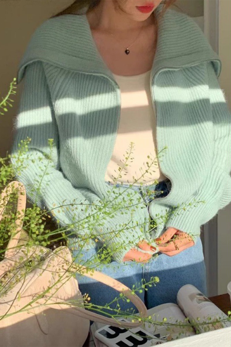 Stylish Zipper Turndown Collar Cardigans in 7 Colors