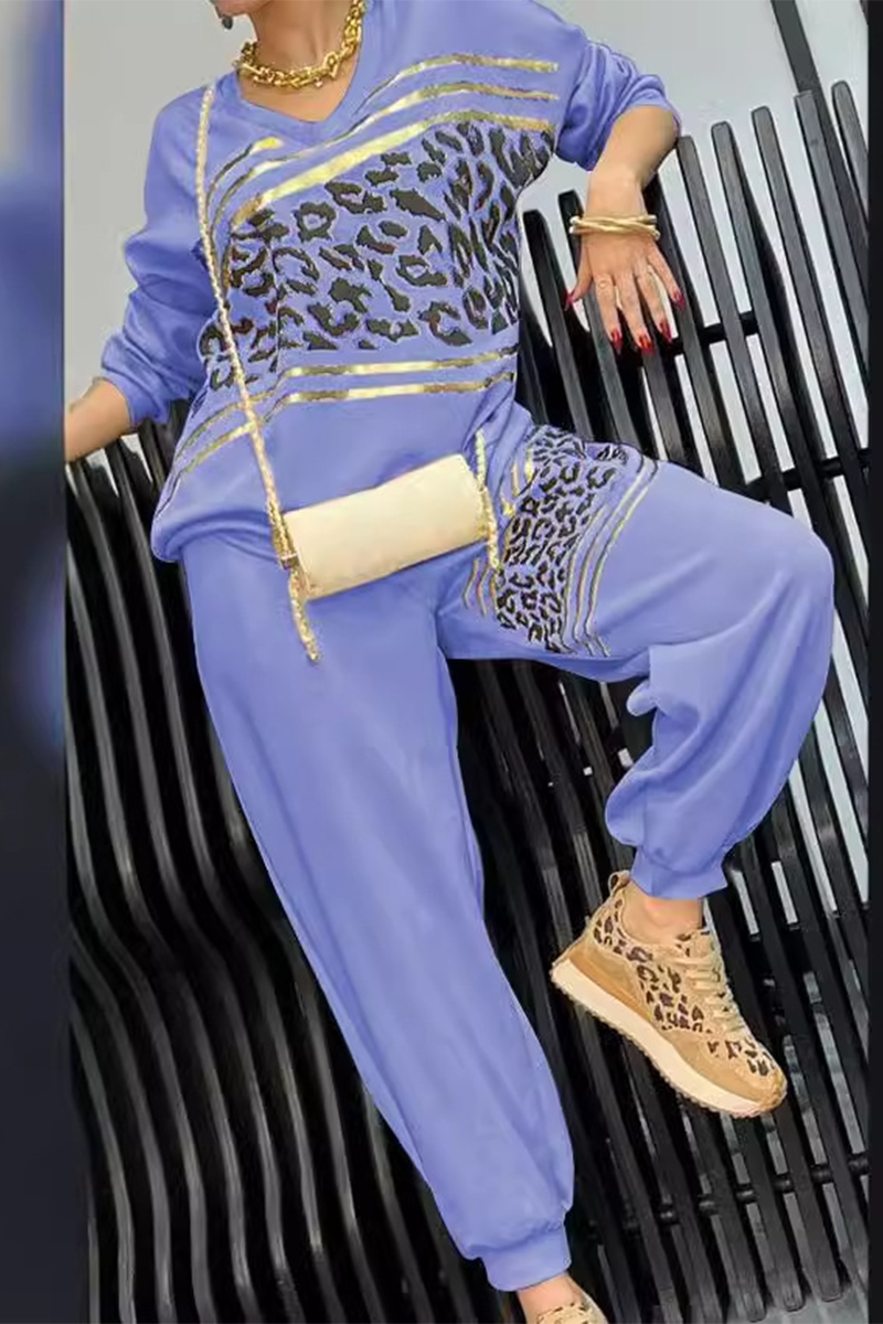 Casual Street Bronzing Pattern Leopard V Neck Long Sleeve Two Pieces(5 Colors) - Fashionpara